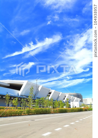 [Tokyo] Toyosu Market under sunny weather (Central Wholesale Market) 104938957