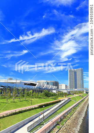 [Tokyo] Toyosu Market under sunny weather (Central Wholesale Market) 104938961