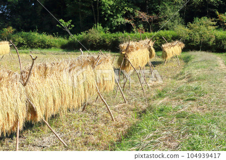 內陸機架 104939417