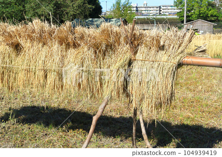 內陸機架 104939419