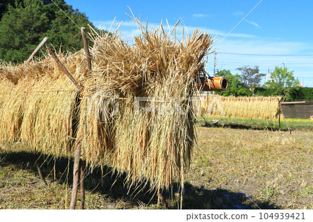 內陸機架 104939421