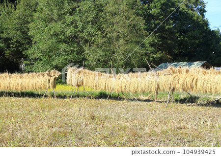 內陸機架 104939425