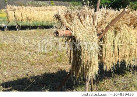 內陸機架 104939436