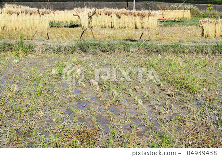 Inland rack 104939438