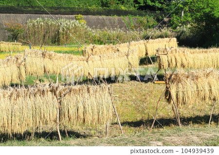 Inland rack 104939439