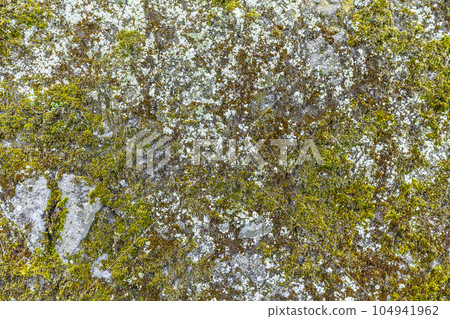 Old gray stone wall 104941962