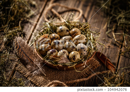 Fresh quail egg Fresh quail egg 104942076