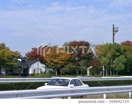 國道17號州道“大島停車場(2010.11)”群馬縣大田市外行停車場。你可以看到秋天的落葉 國道17號州道“大島停車場(2010.11)”群馬縣大田市外行停車場。你可以看到秋天的落葉 104942714