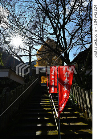 秋天的宇土觀音 104942824