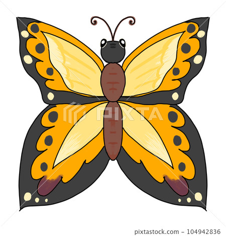 Butterfly isolated on a white background -插圖素材 [104942836] - PIXTA圖庫