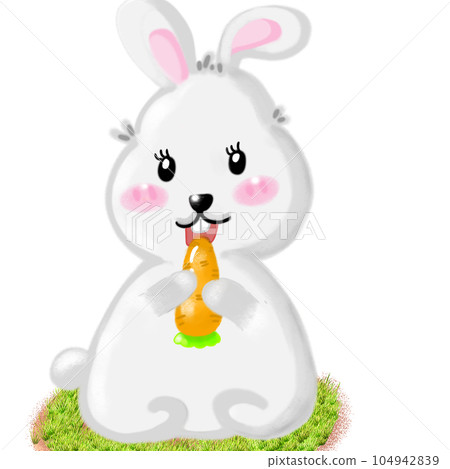 bunny isolated on a white background  104942839