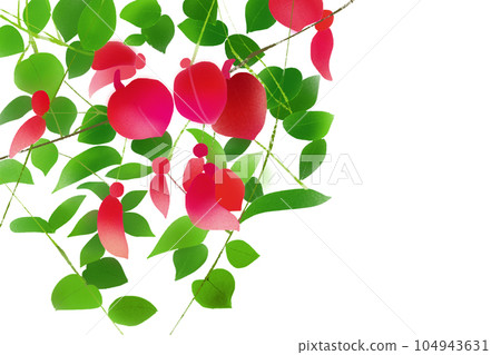 海紅豆(Kaikouzu)美國Digo花卡1張 海紅豆(Kaikouzu)美國Digo花卡1張 104943631