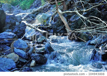 大仙間岳尻內川源頭 104943808