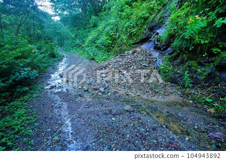 大仙間岳尻內河道森林道路山體滑坡 大仙間岳尻內河道森林道路山體滑坡 104943892