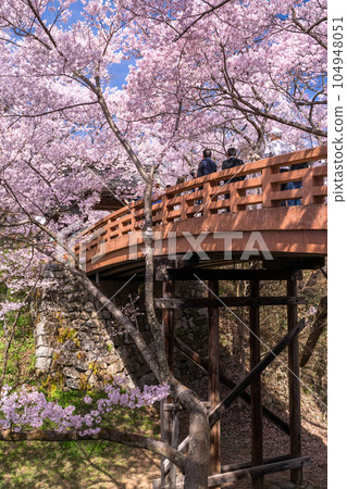 《長野縣》櫻花盛開,春天的高遠城跡公園 《長野縣》櫻花盛開,春天的高遠城跡公園 104948051