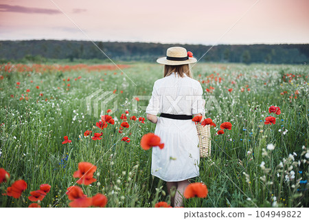 Beautiful girl in poppies field and wheat. outdoor portrait. Child in white dress collecting poppies and cornflower in summer field. Blooming Poppies memory symbol. Village girl. Beautiful girl in poppies field and wheat. outdoor portrait. Child in white dress collecting poppies and cornflower in summer field. Blooming Poppies memory symbol. Village girl. 104949822