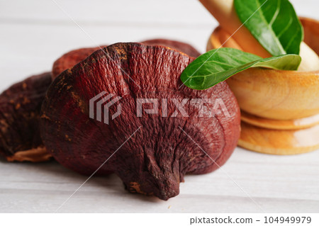 Lingzhi or Reishi mushroom with capsules, organic natural healthy food. Lingzhi or Reishi mushroom with capsules, organic natural healthy food. 104949979