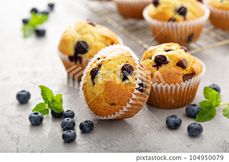 Chocolate chip and blueberry muffins 104950079