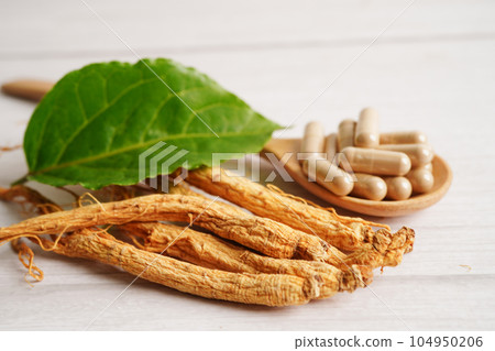 Ginseng roots and green leaf, healthy food. Ginseng roots and green leaf, healthy food. 104950206