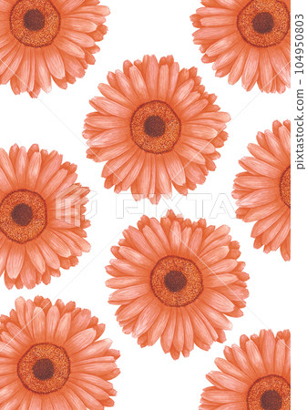 Hand drawn watercolor orange calendula flowers poster isolated on white background. Can be used for label, invitation, poster and post card. Hand drawn watercolor orange calendula flowers poster isolated on white background. Can be used for label, invitation, poster and post card. 104950803