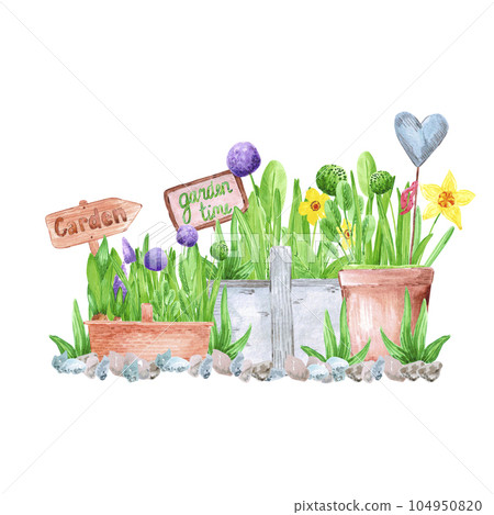 Hand drawn watercolor spring garden flowers with blooming hyacinth and primrose in pots and baskets on white background. Vintage illustration in rural style. 104950820