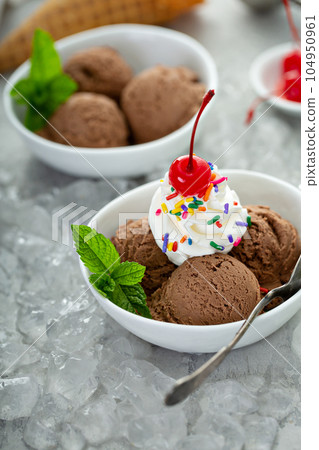 Chocolate ice cream sundae in a bowl 104950961