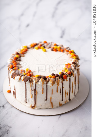 Peanut butter and chocolate ice cream cake 104951836