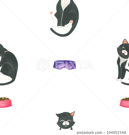 Hand drawn watercolor illustration of a black cat and food bowls seamless pattern on a transparent background Hand drawn watercolor illustration of a black cat and food bowls seamless pattern on a transparent background 104952548