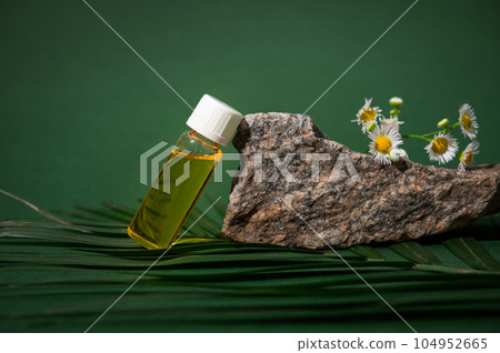 Still life anti-cellulite massage oil in a glass bottle and chamomile on stone and palm leaf. Brand packaging mockup 104952665