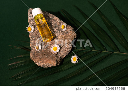 Massage oil in glass vial and chamomile flowers on rock and palm leaf, isolated green background. Brand packaging mockup 104952666
