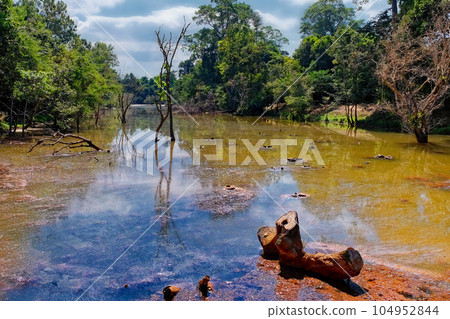 Photograph capturing the multicolored muddy waters of a swampy river in Southeast Asia, displaying a natural landscape. Photograph capturing the multicolored muddy waters of a swampy river in Southeast Asia, displaying a natural landscape. 104952844