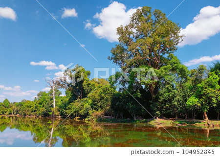 Photograph illustrating trees standing on the shore of a shallow pond on a bright autumn day, under white cumulus clouds in a blue sky. Photograph illustrating trees standing on the shore of a shallow pond on a bright autumn day, under white cumulus clouds in a blue sky. 104952845