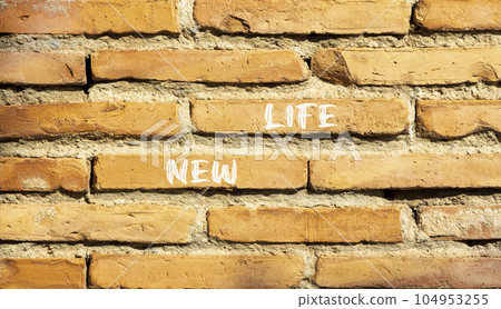 New life symbol. Concept words New life on beautiful brown bricks on a beautiful brick wall background. Business, support, motivation, psychological and new life concept. Copy space. 104953255