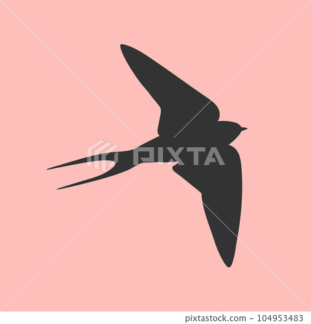 Flying Martin bird silhouette on pink background. Vector illustration Flying Martin bird silhouette on pink background. Vector illustration 104953483