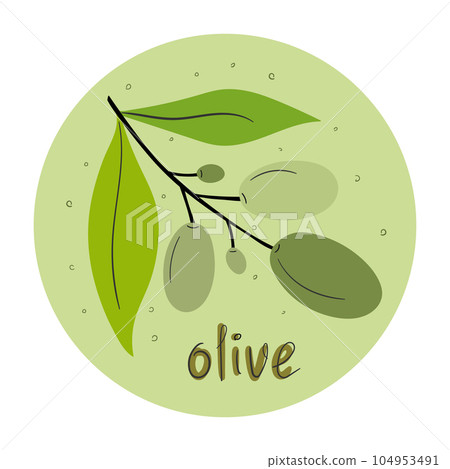 Olive branch in round shape isolated on white background. Vector illustration 104953491