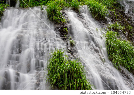A clear stream flowing through the fresh green forest A clear stream flowing through the fresh green forest 104954753