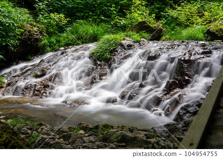 A clear stream flowing through the fresh green forest A clear stream flowing through the fresh green forest 104954755