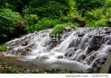 A clear stream flowing through the fresh green forest A clear stream flowing through the fresh green forest 104954756