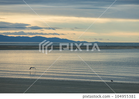 塔胡納努伊海灘, 尼爾森, 新西蘭 塔胡納努伊海灘, 尼爾森, 新西蘭 104955381