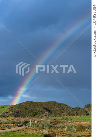 前往新西蘭 Wharariki 海灘途中看到的彩虹 104955384