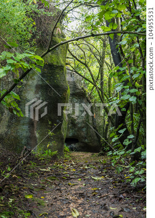 Labyrinth Rocks in Golden Bay, New Zealand 104955531