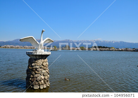 兵庫湖的櫻花(新潟縣) 兵庫湖的櫻花(新潟縣) 104956071