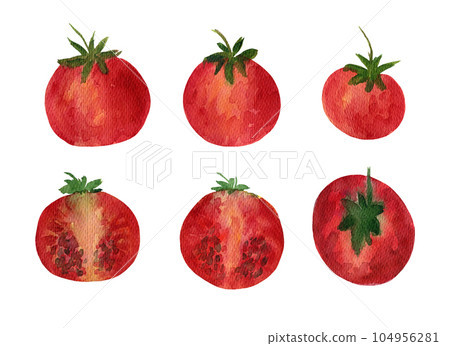 Cute hand drawn watercolor set of red tomato with green tails. Bright painting illustration of tasty vegetables for kitchen textile design, logo, sticker, market advertising 104956281