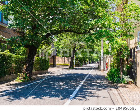 Seijo, a quiet residential area 104956583