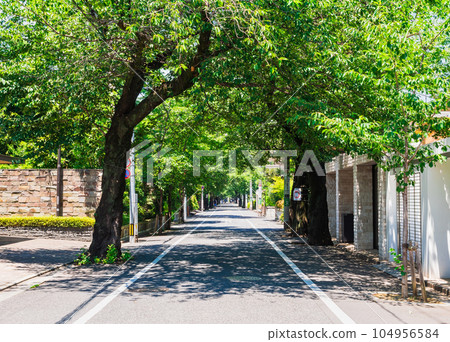 Seijo, a quiet residential area 104956584