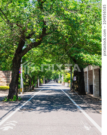 Seijo, a quiet residential area 104956585