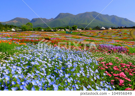 Kuju mountain range and spring flower garden (Kusumi Town, Oita Prefecture) Kuju mountain range and spring flower garden (Kusumi Town, Oita Prefecture) 104956849