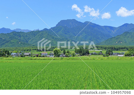 Summer in Azumino Countryside and Northern Alps 104957098