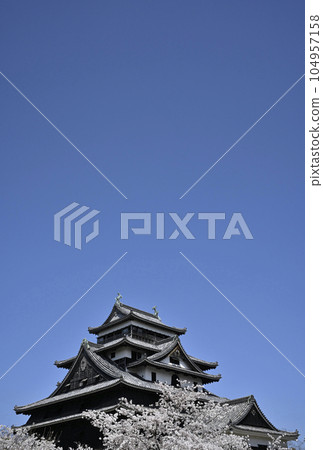 松江城堡在春天 松江城堡在春天 104957158