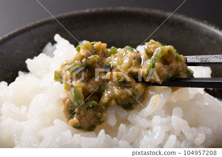 青辣椒味噌 南蠻味噌 青辣椒味噌 南蠻味噌 104957208